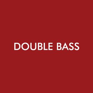 Double Bass