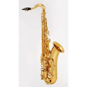 Buffet Crampon - Tenor Sax - 100 Series
