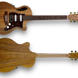 Cole Clark True Hybrid Thinline - Australian Blackwood Back and Sides