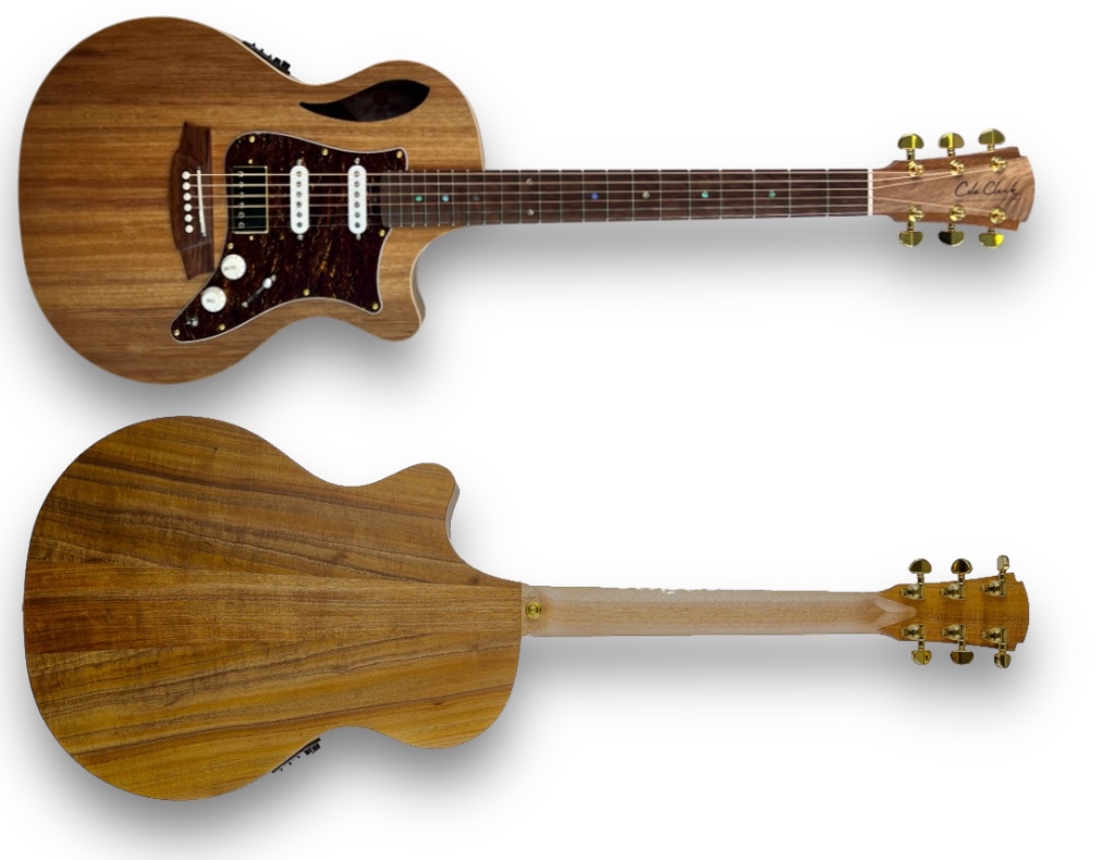 Cole Clark True Hybrid Thinline - Australian Blackwood Back and Sides