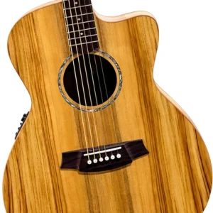 Cole Clark Studio Angel Grand Auditorium - All Solid Camphor Laurel